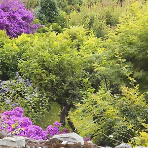 casa-nobile.hotelitalianriviera.com/